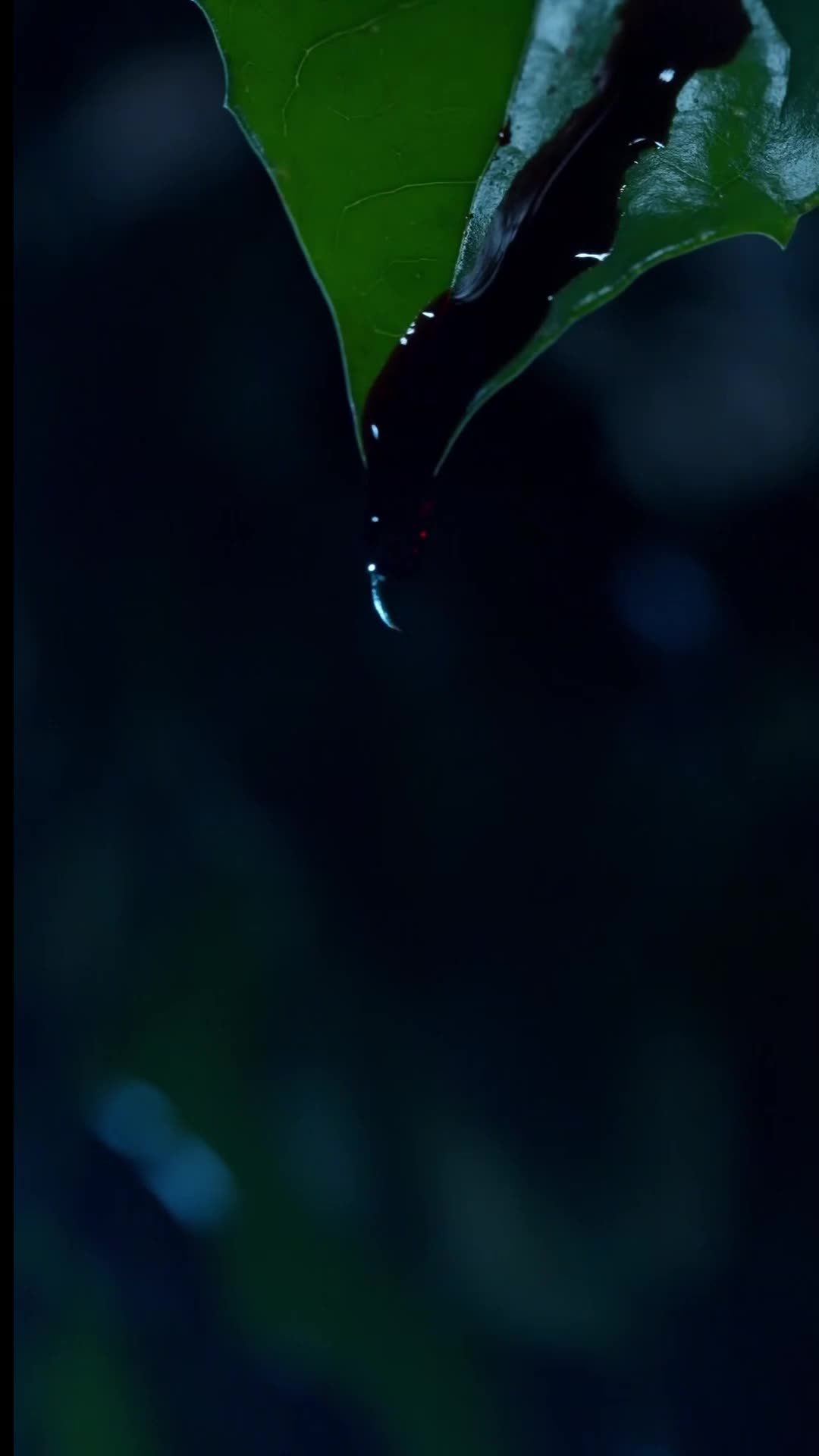 Tập 1 - Đích Nữ Trở Về Cứu Gia Tộc